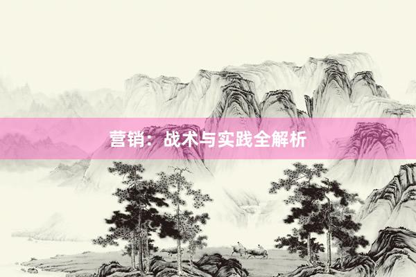 营销：战术与实践全解析